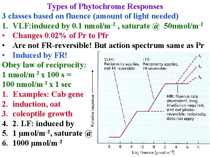 Types of Phytochrome Responses 3 classes based on fluence (amount of light needed) 1.