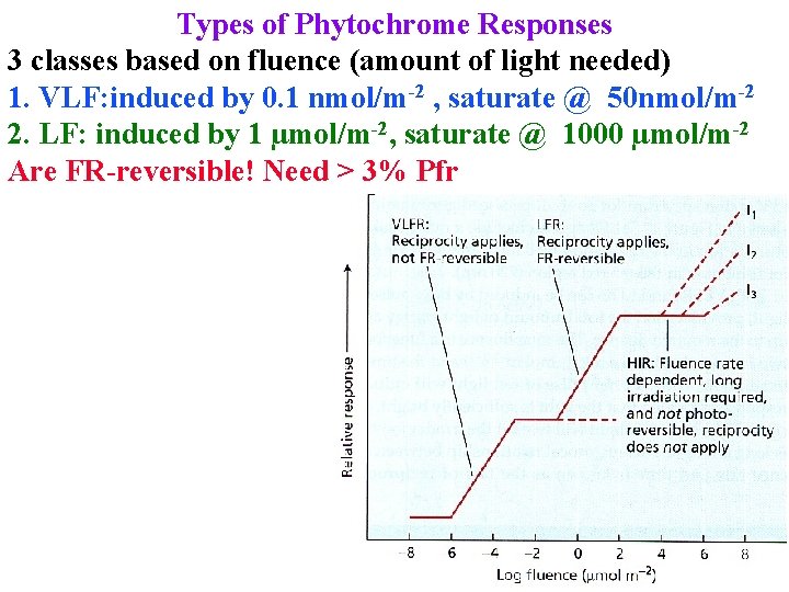 Types of Phytochrome Responses 3 classes based on fluence (amount of light needed) 1.