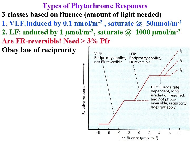 Types of Phytochrome Responses 3 classes based on fluence (amount of light needed) 1.