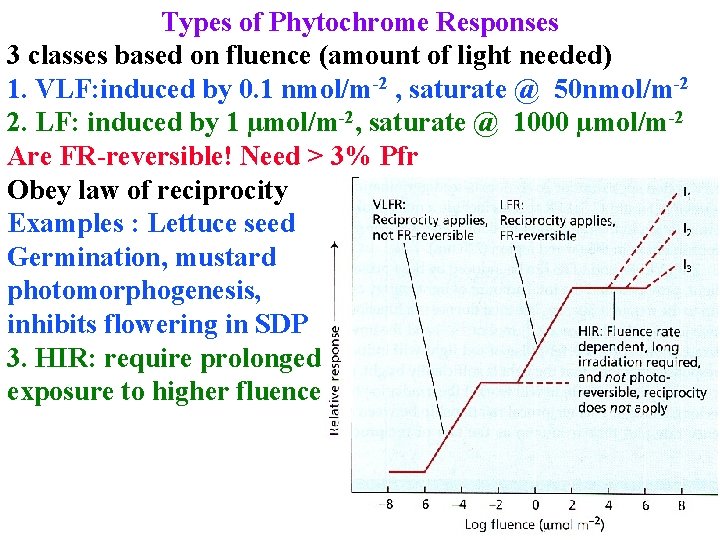 Types of Phytochrome Responses 3 classes based on fluence (amount of light needed) 1.