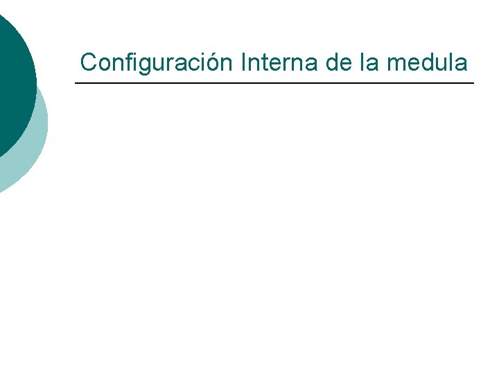 Configuración Interna de la medula 