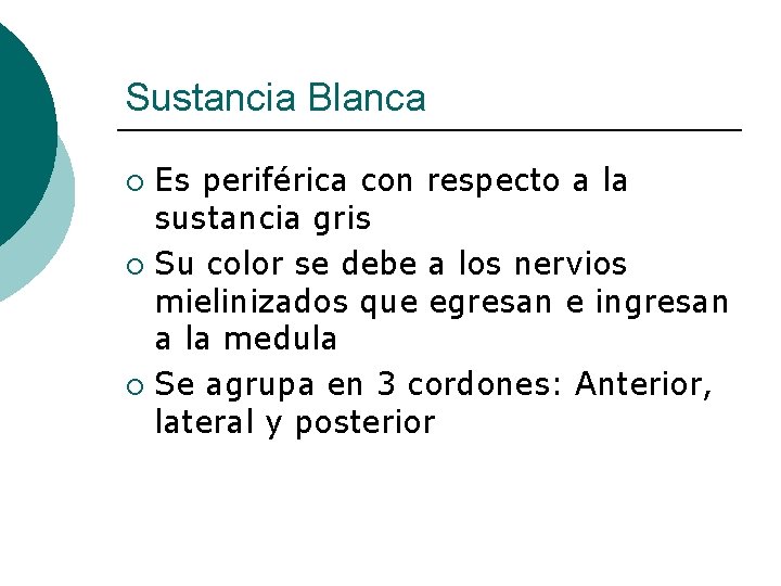 Sustancia Blanca Es periférica con respecto a la sustancia gris ¡ Su color se