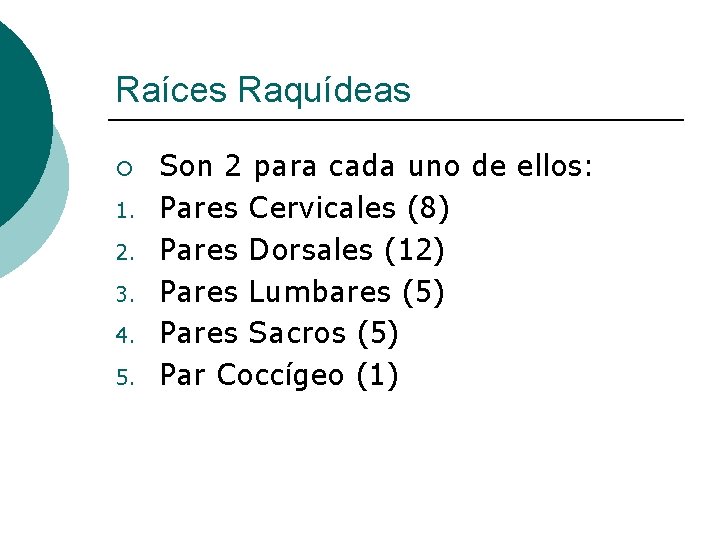 Raíces Raquídeas ¡ 1. 2. 3. 4. 5. Son 2 para cada uno de