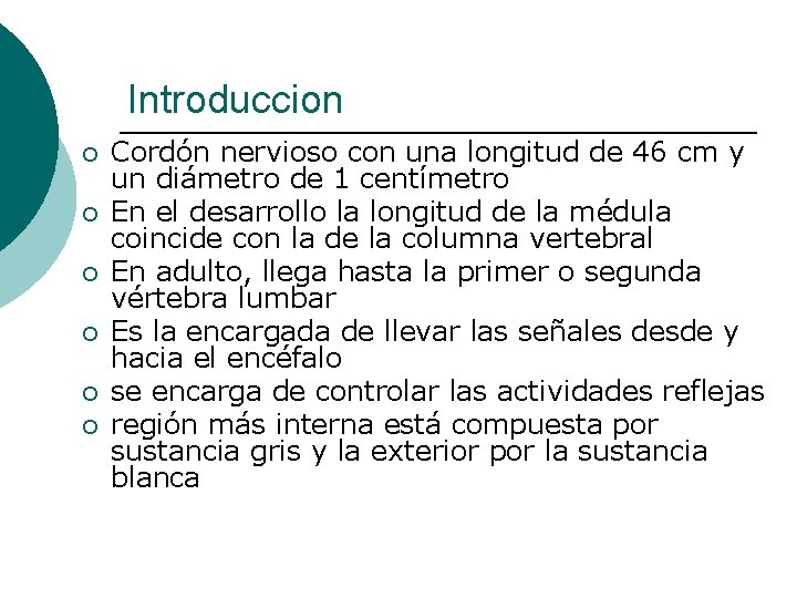 Introduccion ¡ ¡ ¡ Cordón nervioso con una longitud de 46 cm y un