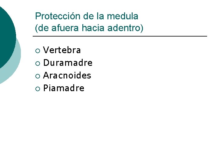 Protección de la medula (de afuera hacia adentro) Vertebra ¡ Duramadre ¡ Aracnoides ¡