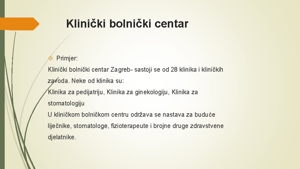 Klinički bolnički centar Primjer: Klinički bolnički centar Zagreb- sastoji se od 28 klinika i