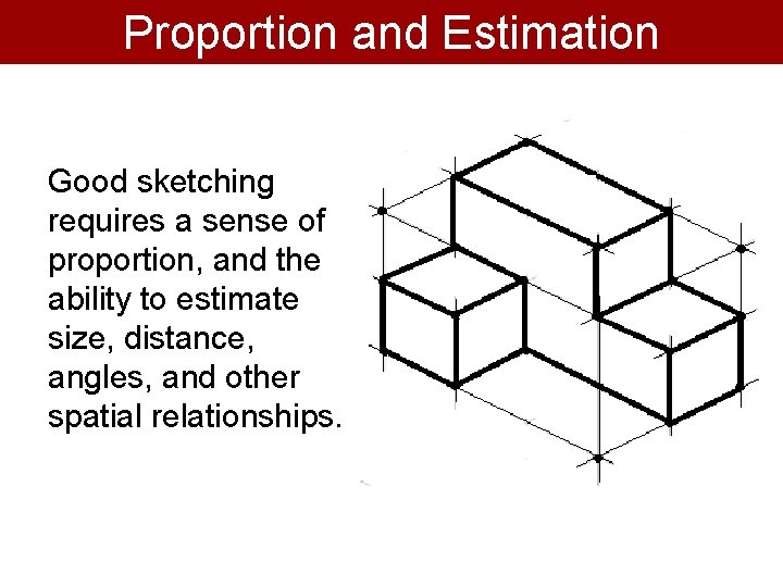 Proportion and Estimation Good sketching requires a sense of proportion, and the ability to