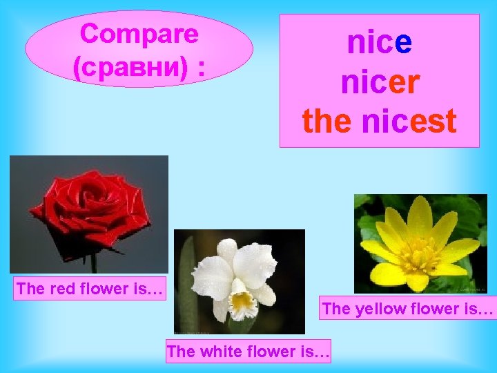 Compare (сравни) : nicer the nicest The red flower is… The yellow flower is…