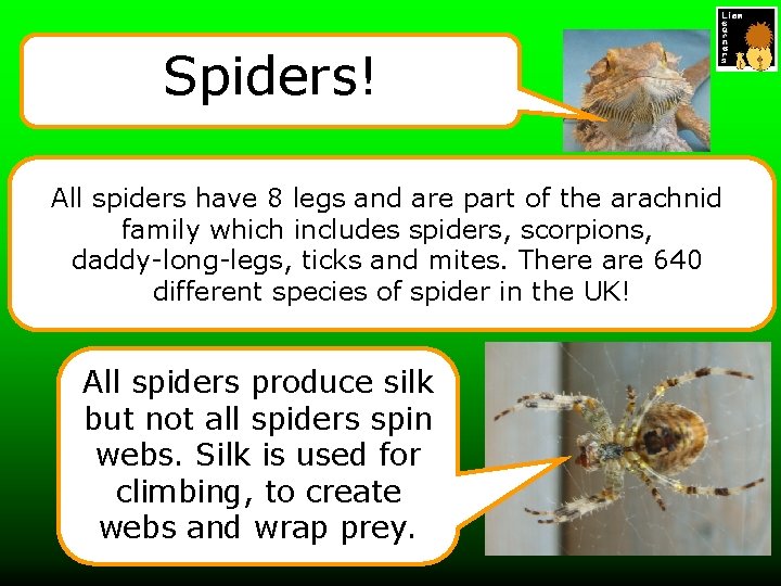 Spiders! All spiders have 8 legs and are part of the arachnid family which