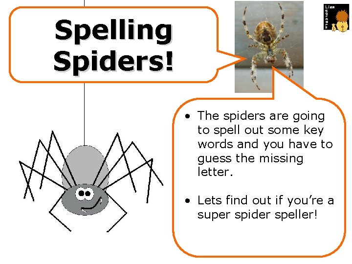 Spelling Spiders! • The spiders are going to spell out some key words and