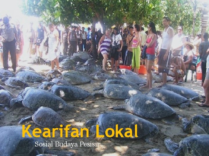 Kearifan Lokal Sosial Budaya Pesisir 