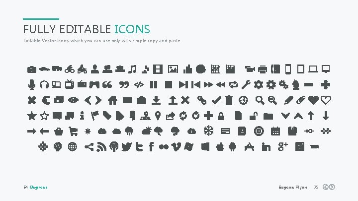 FULLY EDITABLE ICONS Editable Vector Icons, which you can use only with simple copy