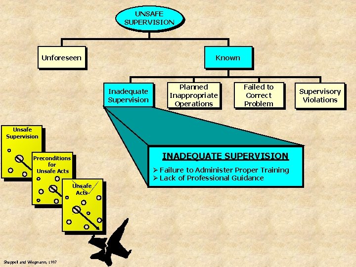 UNSAFE SUPERVISION Unforeseen Known Inadequate Supervision Planned Inappropriate Operations Failed to Correct Problem Unsafe