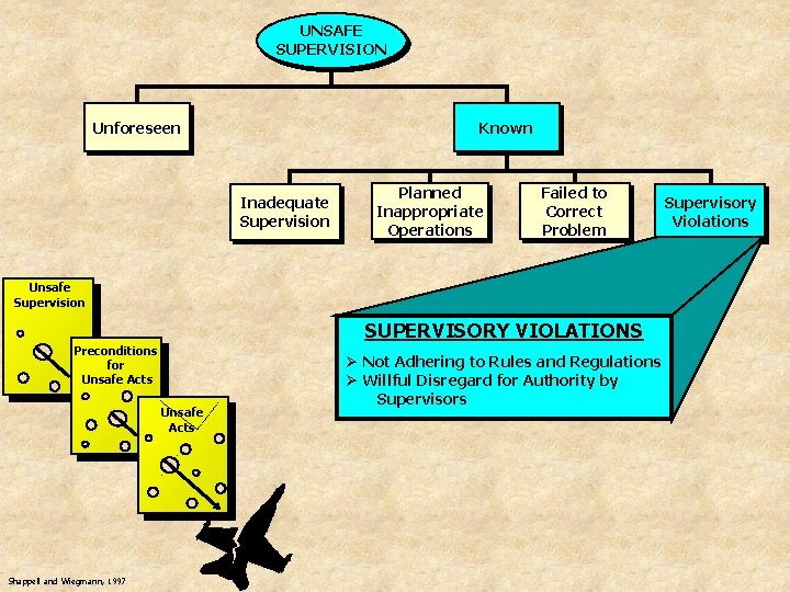 UNSAFE SUPERVISION Unforeseen Known Inadequate Supervision Planned Inappropriate Operations Failed to Correct Problem Unsafe
