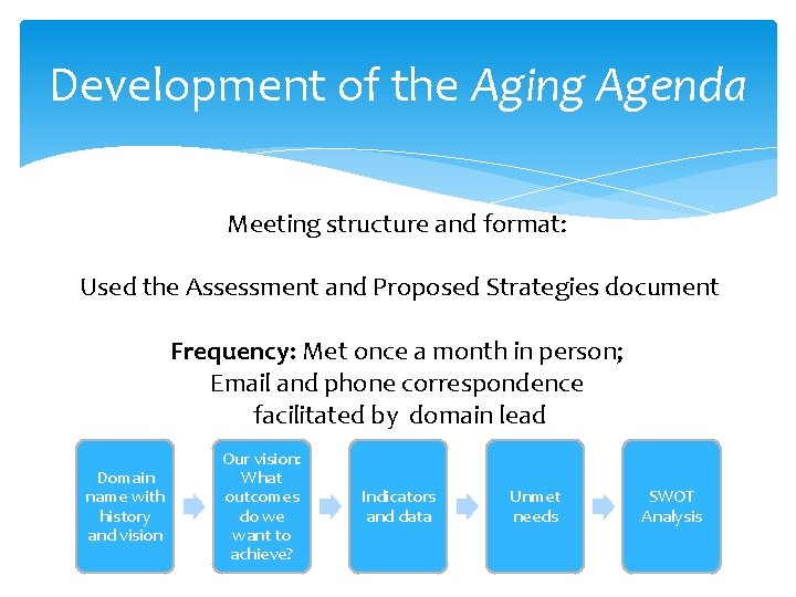 Development of the Aging Agenda Meeting structure and format: Used the Assessment and Proposed