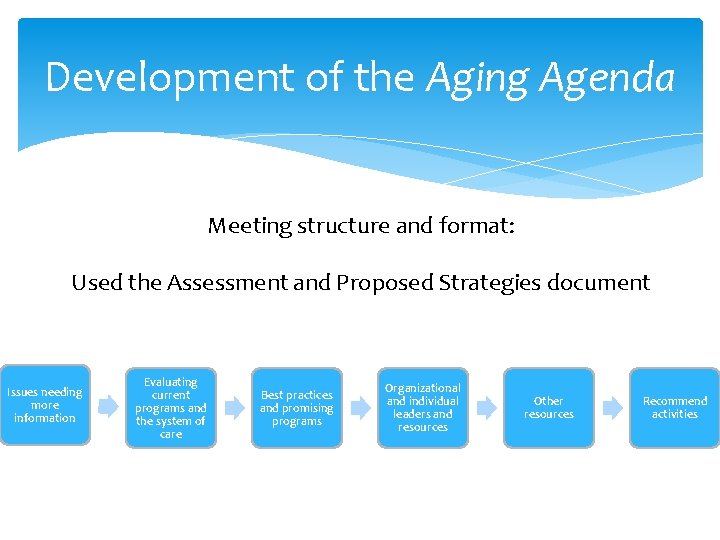 Development of the Aging Agenda Meeting structure and format: Used the Assessment and Proposed