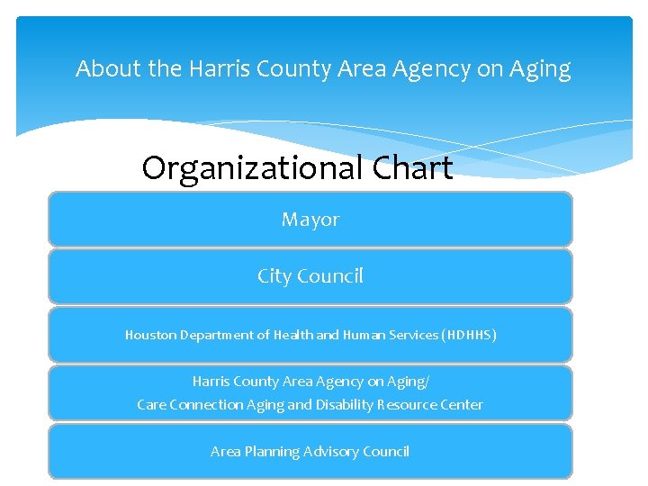 About the Harris County Area Agency on Aging Organizational Chart Mayor City Council Houston