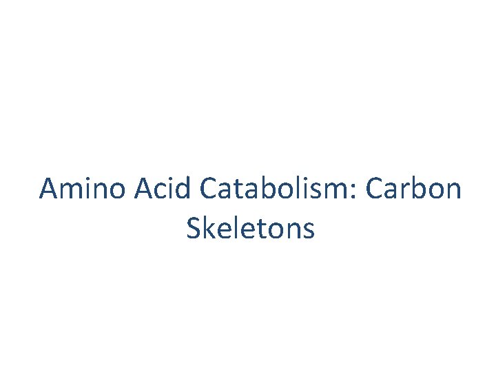 Amino Acid Catabolism: Carbon Skeletons 