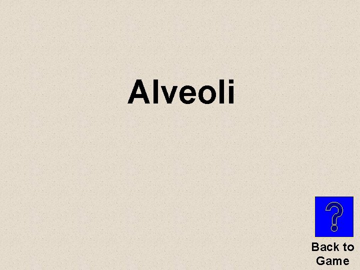 Alveoli Back to Game 