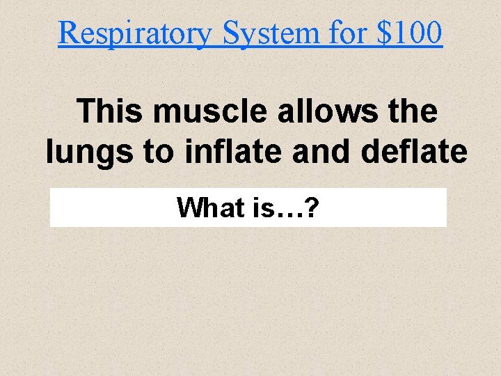 Respiratory System for $100 This muscle allows the lungs to inflate and deflate What