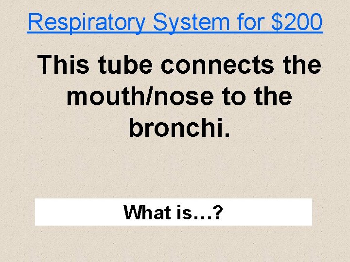 Respiratory System for $200 This tube connects the mouth/nose to the bronchi. What is…?