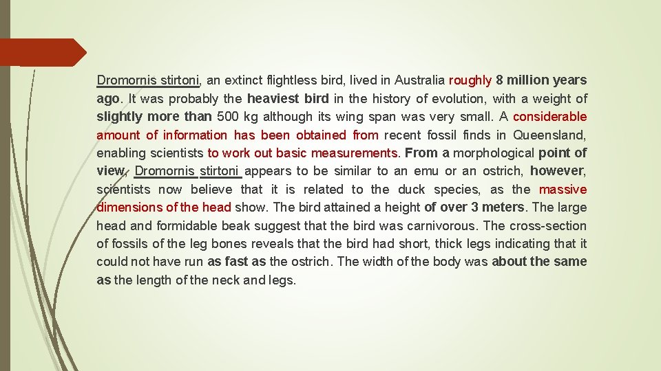 Dromornis stirtoni, an extinct flightless bird, lived in Australia roughly 8 million years ago.