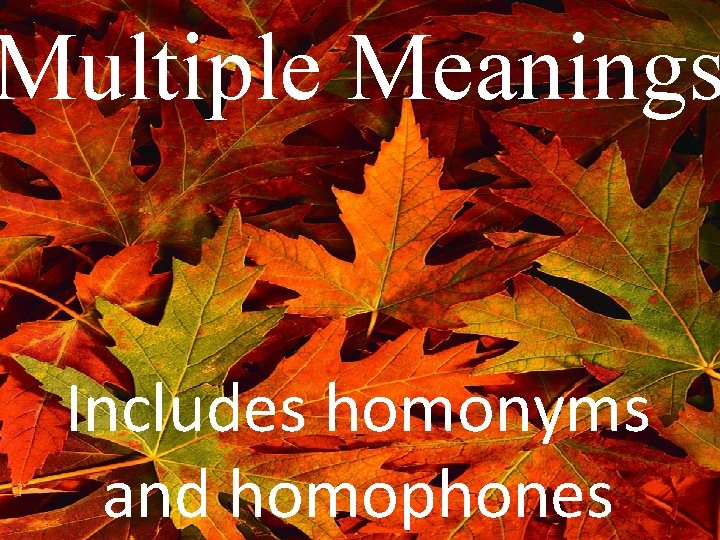 Multiple Meanings Includes Homonyms And Homophones What Does