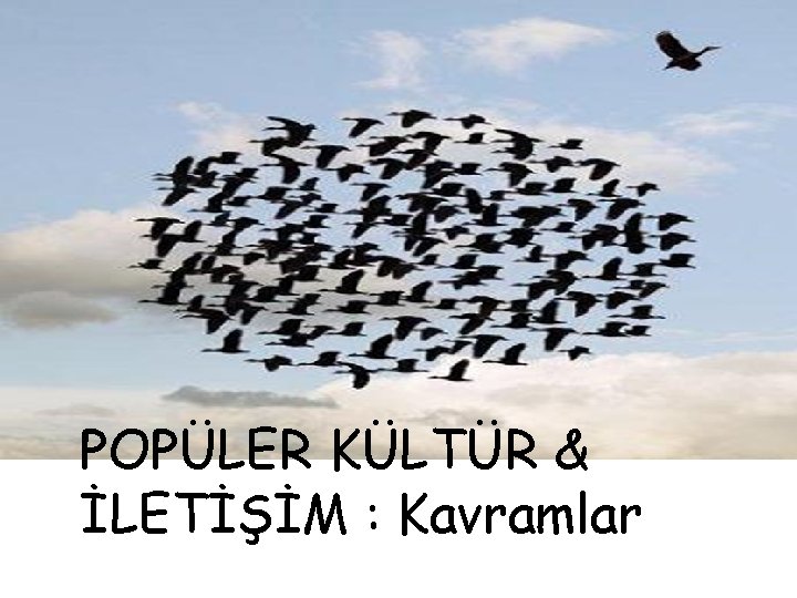 POPÜLER KÜLTÜR & İLETİŞİM : Kavramlar 