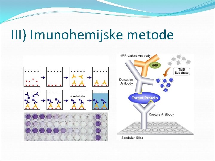 III) Imunohemijske metode 