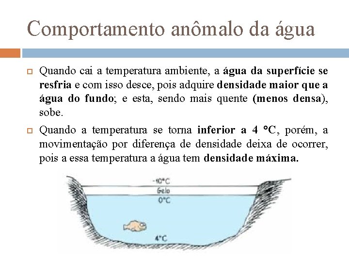 Comportamento anômalo da água Quando cai a temperatura ambiente, a água da superfície se