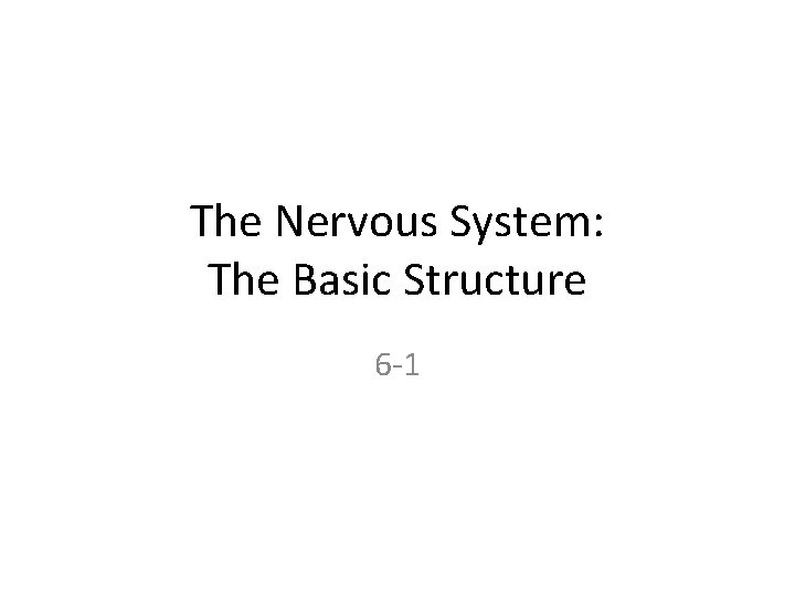 The Nervous System: The Basic Structure 6 -1 