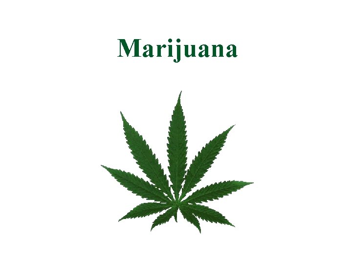 Marijuana 