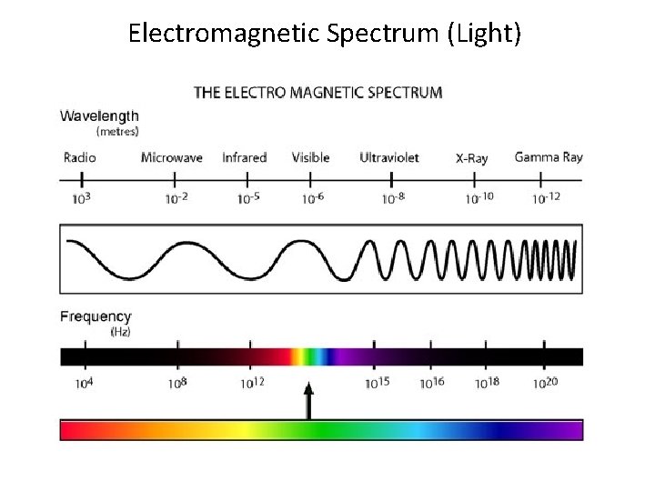 Electromagnetic Spectrum (Light) Electromagnetic Spectrum (Light)