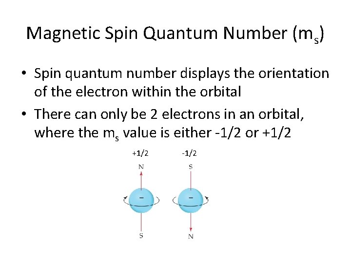 Magnetic Spin Quantum Number (ms) • Spin quantum number displays the orientation of the Magnetic Spin Quantum Number (ms) • Spin quantum number displays the orientation of the