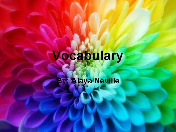 Vocabulary By: Alaya Neville 