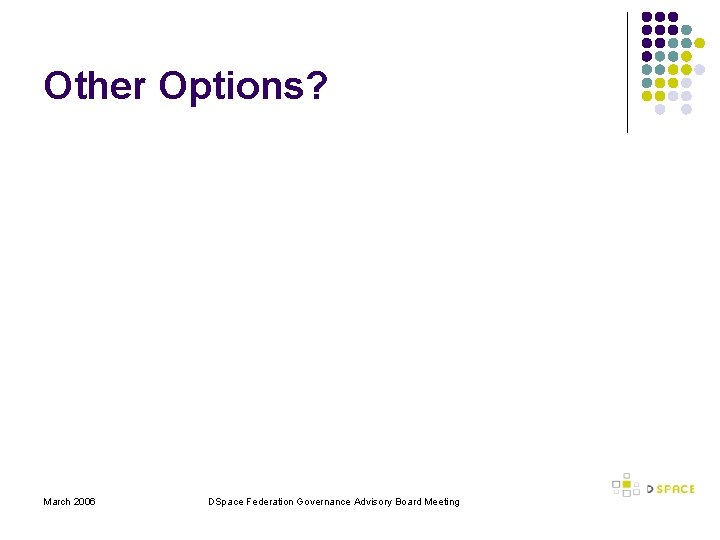 Other Options? March 2006 DSpace Federation Governance Advisory Board Meeting 