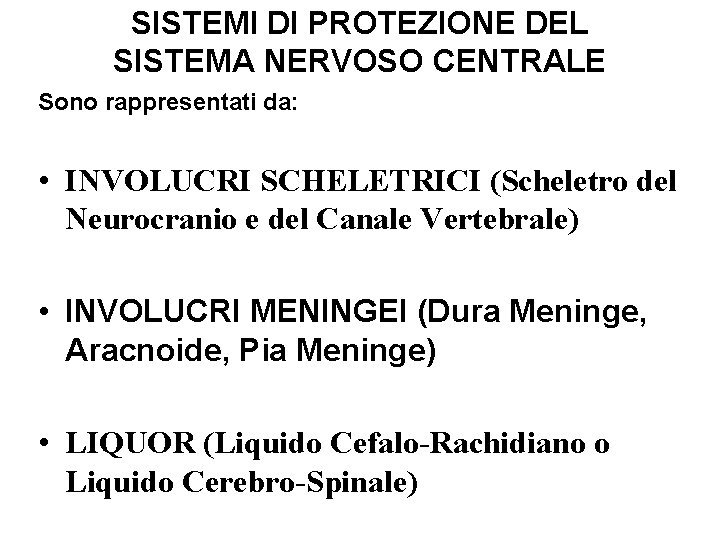 SISTEMI DI PROTEZIONE DEL SISTEMA NERVOSO CENTRALE Sono rappresentati da: • INVOLUCRI SCHELETRICI (Scheletro