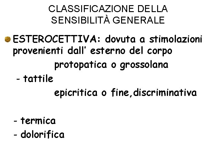 CLASSIFICAZIONE DELLA SENSIBILITÀ GENERALE ESTEROCETTIVA: dovuta a stimolazioni provenienti dall’ esterno del corpo protopatica