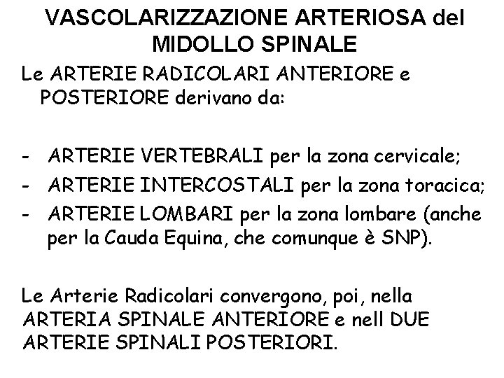 VASCOLARIZZAZIONE ARTERIOSA del MIDOLLO SPINALE Le ARTERIE RADICOLARI ANTERIORE e POSTERIORE derivano da: -