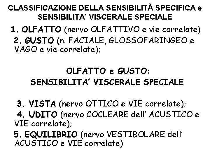 CLASSIFICAZIONE DELLA SENSIBILITÀ SPECIFICA e SENSIBILITA’ VISCERALE SPECIALE 1. OLFATTO (nervo OLFATTIVO e vie