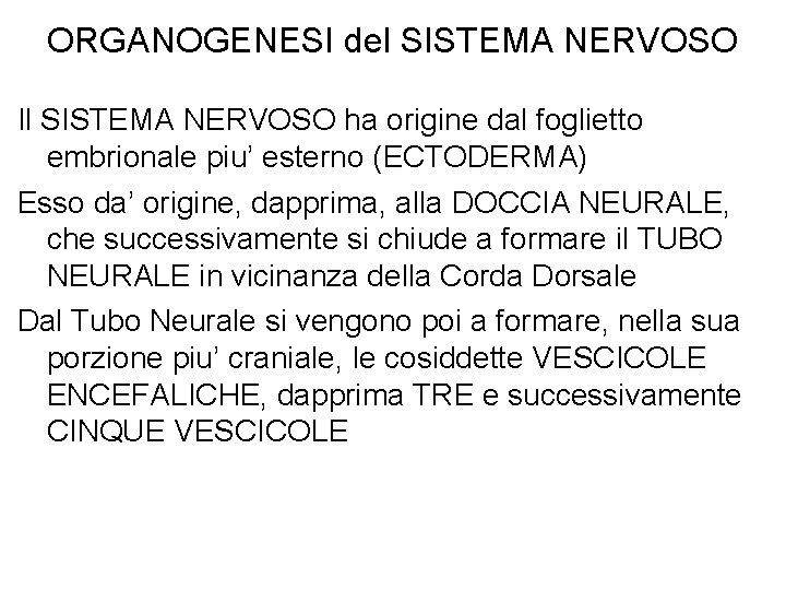 ORGANOGENESI del SISTEMA NERVOSO Il SISTEMA NERVOSO ha origine dal foglietto embrionale piu’ esterno