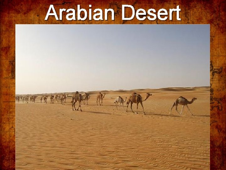 Arabian Desert 