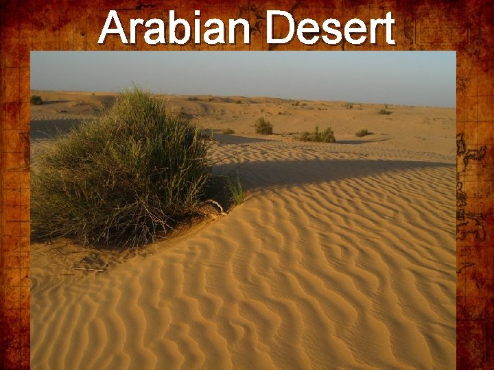 Arabian Desert 