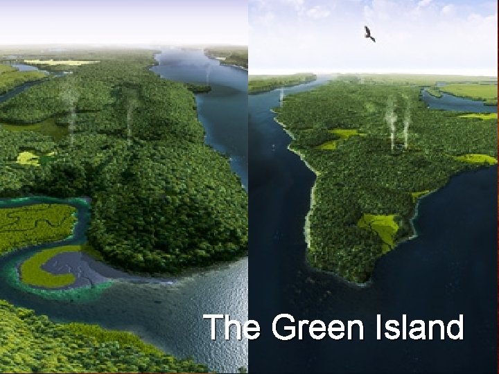 The Green Island 