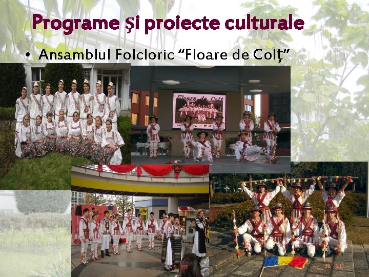 Programe şi proiecte culturale • Ansamblul Folcloric “Floare de Colţ” 