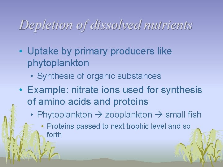 Depletion of dissolved nutrients • Uptake by primary producers like phytoplankton • Synthesis of