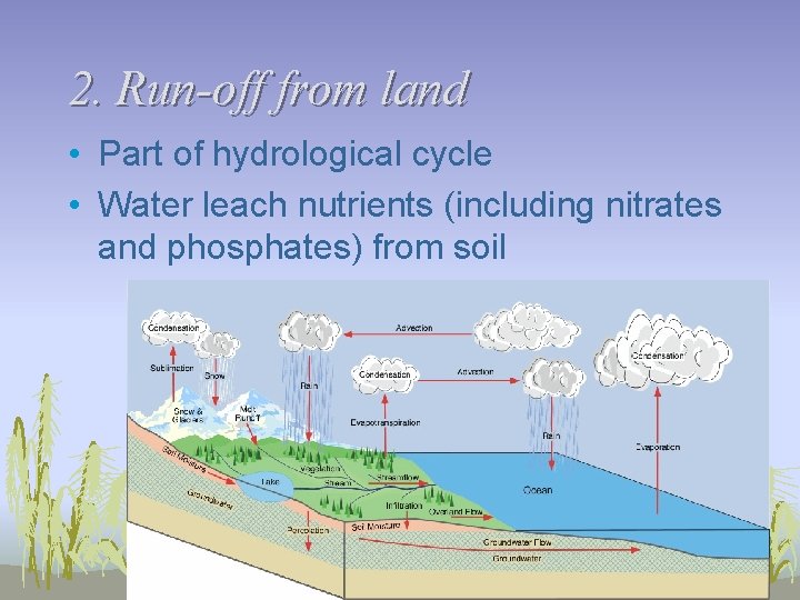 2. Run-off from land • Part of hydrological cycle • Water leach nutrients (including