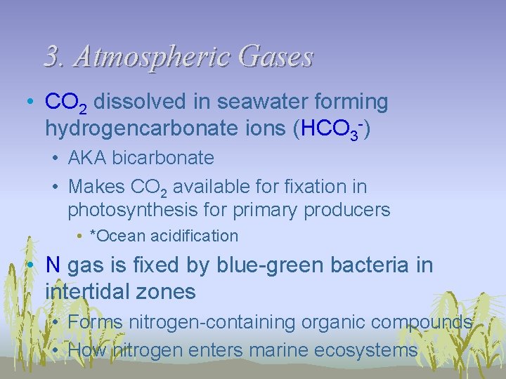 3. Atmospheric Gases • CO 2 dissolved in seawater forming hydrogencarbonate ions (HCO 3