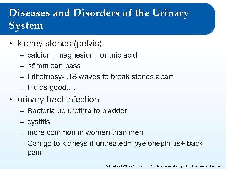 Diseases and Disorders of the Urinary System • kidney stones (pelvis) – – calcium,