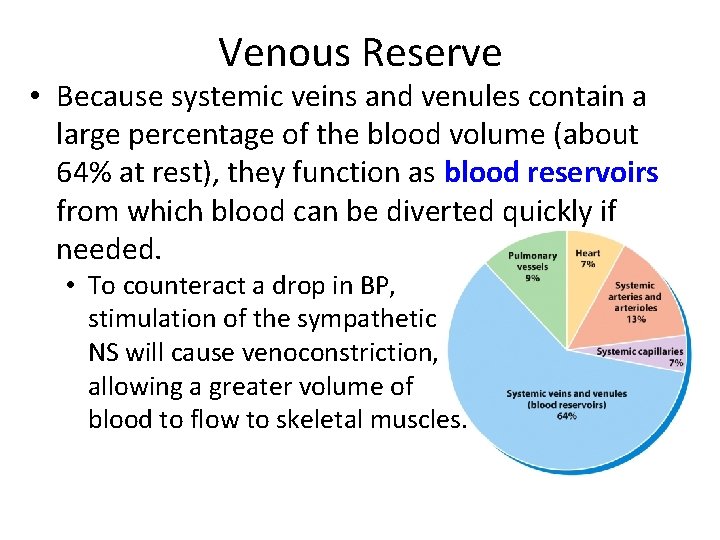 Venous Reserve • Because systemic veins and venules contain a large percentage of the